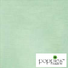 Mint Green 2 Ply 40cm Napkins (2000 Pack) 