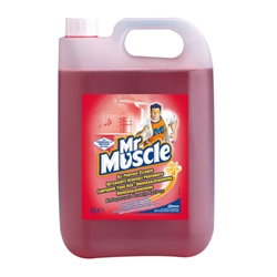 Mr Muscle All Purpose Cleaner (2x5L Pack) 