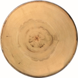 Elm Footed Round Platter 13.5? / 35cm (2 Pack) 
