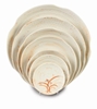 8 1/4in / 210mm Lotus Shape Plate, Gold Orchid (4 Pack) 