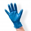 Blue Powder Free Vinyl Glove Large 