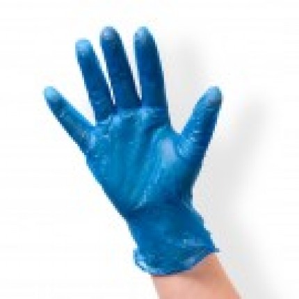 Blue Powder Free Vinyl Glove Small 