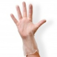 Clear Powder Free Vinyl Glove X-Large 