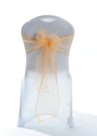 Crystal Chair Sashes - Light Peach 8”x108” (5 Pack) 