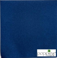 Dark Blue 2 Ply 40cm Napkins (2000 Pack) 