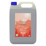 EDENCLEEN URINAL CLEANER & DEODORISER  (5 Ltr Pack) - CL-EDN-UD