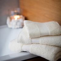 Egyptian Cotton Hand Towel 600gsm 
