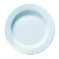 Evolution Salad / Dessert Plate 9.5” 24cm (24 Pack) Evolution, Salad, Dessert, Plate, 9.5", 24cm