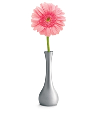 Flower Vase 7” 