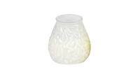 Lowboys Lamps - Clear (12 Pack) 
