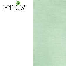 Mint Green Pre-Folded 2 Ply 33cm Napkins (2000 Pack) 