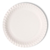 Paper Plate  9 (229mm) (100 Pack) 