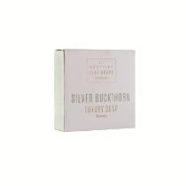 Soap 25g Carton 
