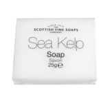Soap 25g Rectangle 