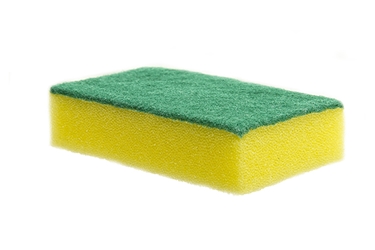 Sponge Scourer Pad (Pack of 10) 