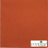Terracotta 33cm 2ply Napkins (2000 Pack) 