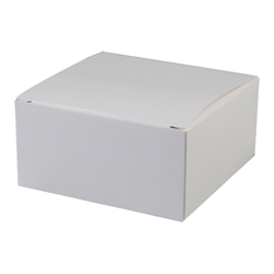 White standard paperboard box (square) 
