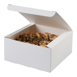 White large paperboard box (square) 