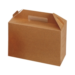 Large carry pack with handle (kraft) 