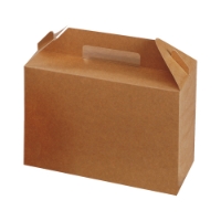 Large carry pack with handle (kraft) 