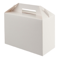 Large carry pack with handle (white) 