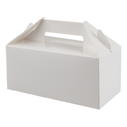 Small Carry Pack (white) 