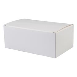 White paperboard box (standard) 