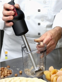 Kisag Powerstick Blender Model 20 