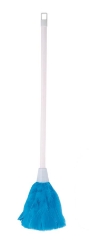 Feather Duster 