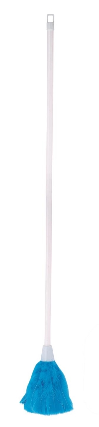 Feather Duster 