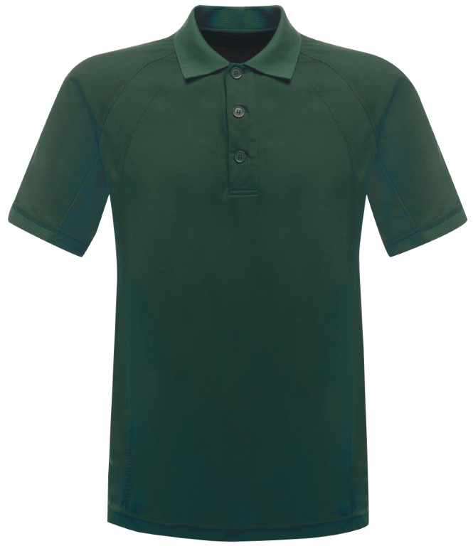 Bottle Green