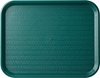 Green Cafe Tray 16 x 12? / 43 x 30cm (24 Pack) 