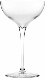 Terroir Champagne Coupe 7.5oz / 21cl (12 Pack) 