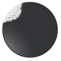 Holi Black Plate  (24 Pack) Holi, Black, Plate, 