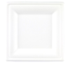 20cm  Square Bagasse Plate (4 x 125 Pack) 