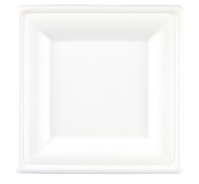 20cm  Square Bagasse Plate (4 x 125 Pack) 
