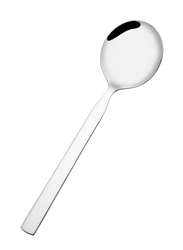 Chicago Soup Spoon 