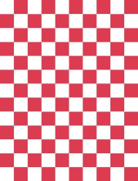 Red Check Gp Paper 500 Sheets 25.5Cm X 19.5Cm 