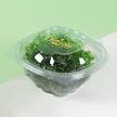 250cc Salad Bowl with lid 